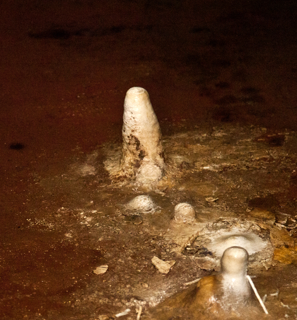 paddock upper basement stalagmites